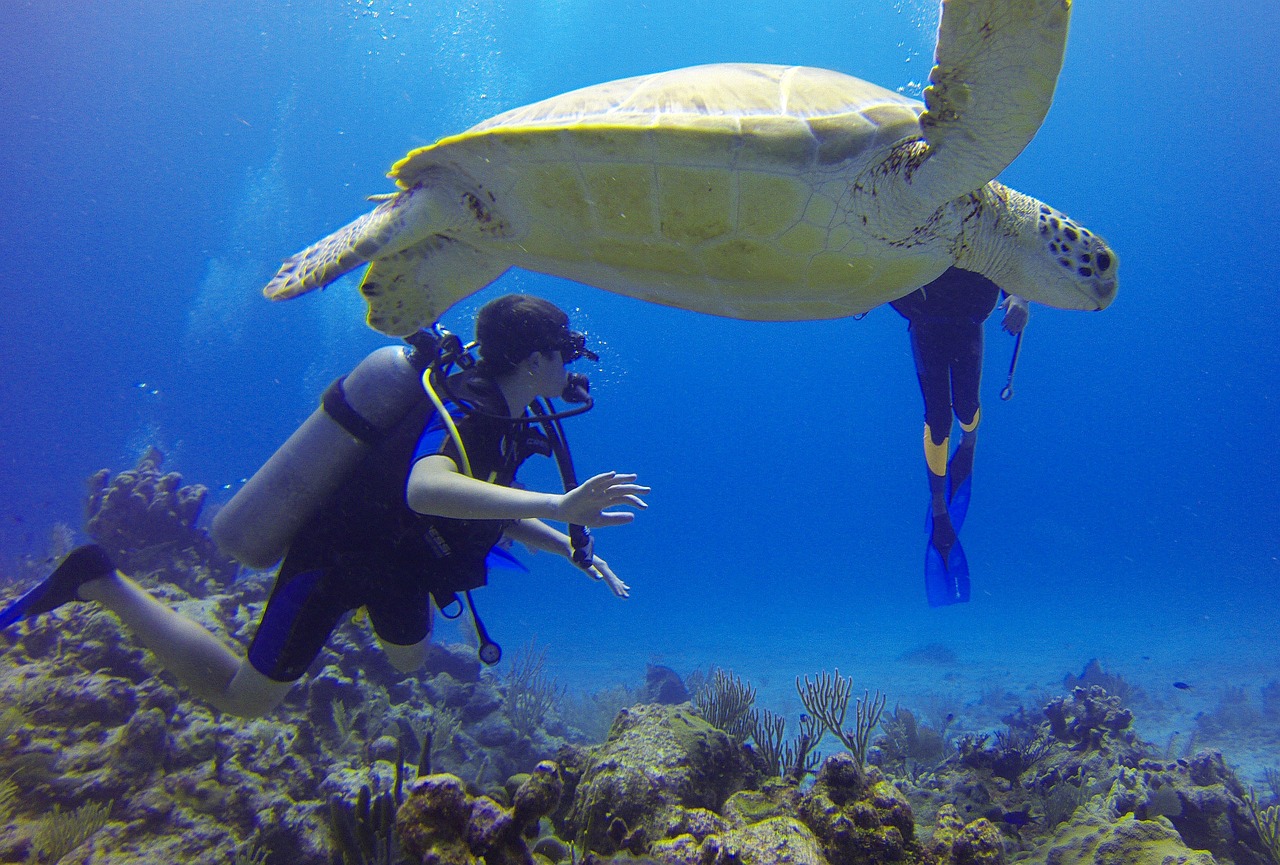 Tips for a Safe and Enjoyable Scuba Diving Experience in Dubai